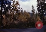 Image Rain Forest olympique Olympia Washington USA, 1966, de la seconde 29 séquences d'archives historiques vidéo 65675039733