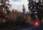 Image Rain Forest olympique Olympia Washington USA, 1966, de la seconde 31 séquences d'archives historiques vidéo 65675039733