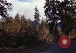 Image Rain Forest olympique Olympia Washington USA, 1966, de la seconde 32 séquences d'archives historiques vidéo 65675039733
