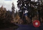 Image Rain Forest olympique Olympia Washington USA, 1966, de la seconde 34 séquences d'archives historiques vidéo 65675039733