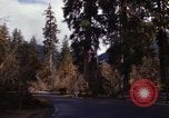 Image Rain Forest olympique Olympia Washington USA, 1966, de la seconde 36 séquences d'archives historiques vidéo 65675039733