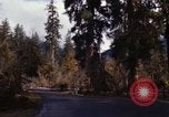 Image Rain Forest olympique Olympia Washington USA, 1966, de la seconde 37 séquences d'archives historiques vidéo 65675039733