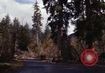 Image Rain Forest olympique Olympia Washington USA, 1966, de la seconde 38 séquences d'archives historiques vidéo 65675039733