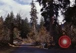 Image Rain Forest olympique Olympia Washington USA, 1966, de la seconde 40 séquences d'archives historiques vidéo 65675039733