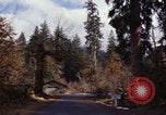 Image Rain Forest olympique Olympia Washington USA, 1966, de la seconde 41 séquences d'archives historiques vidéo 65675039733