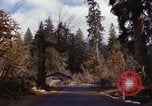 Image Rain Forest olympique Olympia Washington USA, 1966, de la seconde 42 séquences d'archives historiques vidéo 65675039733