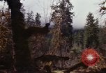 Image Rain Forest olympique Olympia Washington USA, 1966, de la seconde 48 séquences d'archives historiques vidéo 65675039733