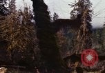 Image Rain Forest olympique Olympia Washington USA, 1966, de la seconde 49 séquences d'archives historiques vidéo 65675039733