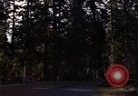 Image Rain Forest olympique Olympia Washington USA, 1966, de la seconde 55 séquences d'archives historiques vidéo 65675039733