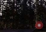 Image Rain Forest olympique Olympia Washington USA, 1966, de la seconde 56 séquences d'archives historiques vidéo 65675039733