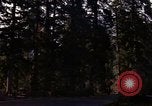 Image Rain Forest olympique Olympia Washington USA, 1966, de la seconde 57 séquences d'archives historiques vidéo 65675039733