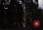 Image Rain Forest olympique Olympia Washington USA, 1966, de la seconde 60 séquences d'archives historiques vidéo 65675039733