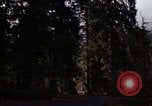 Image Rain Forest olympique Olympia Washington USA, 1966, de la seconde 61 séquences d'archives historiques vidéo 65675039733