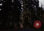 Image Rain Forest olympique Olympia Washington USA, 1966, de la seconde 62 séquences d'archives historiques vidéo 65675039733