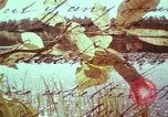 Image of European immigrants extol virtues of America United States USA, 1975, second 11 stock footage video 65675039765