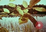 Image of European immigrants extol virtues of America United States USA, 1975, second 12 stock footage video 65675039765