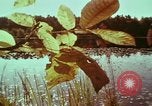 Image of European immigrants extol virtues of America United States USA, 1975, second 13 stock footage video 65675039765