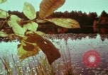 Image of European immigrants extol virtues of America United States USA, 1975, second 14 stock footage video 65675039765