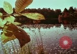 Image of European immigrants extol virtues of America United States USA, 1975, second 15 stock footage video 65675039765