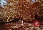 Image of European immigrants extol virtues of America United States USA, 1975, second 40 stock footage video 65675039765