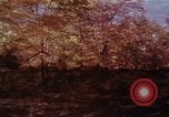 Image of European immigrants extol virtues of America United States USA, 1975, second 44 stock footage video 65675039765