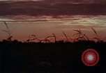 Image of European immigrants extol virtues of America United States USA, 1975, second 46 stock footage video 65675039765