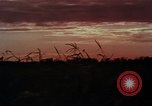 Image of European immigrants extol virtues of America United States USA, 1975, second 47 stock footage video 65675039765
