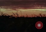 Image of European immigrants extol virtues of America United States USA, 1975, second 52 stock footage video 65675039765