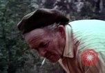 Image of Irish farmers digging potatoes Ireland, 1975, second 52 stock footage video 65675039766