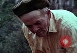 Image of Irish farmers digging potatoes Ireland, 1975, second 55 stock footage video 65675039766