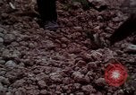 Image of Irish farmers digging potatoes Ireland, 1975, second 61 stock footage video 65675039766
