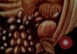 Image of Advertisements in Europe attracting immigrants United States USA, 1910, second 7 stock footage video 65675039767
