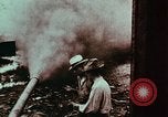 Image of European immigrants on farms in Western United States United States USA, 1900, second 16 stock footage video 65675039775