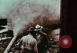 Image of European immigrants on farms in Western United States United States USA, 1900, second 17 stock footage video 65675039775