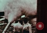 Image of European immigrants on farms in Western United States United States USA, 1900, second 18 stock footage video 65675039775