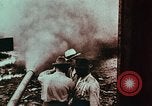 Image of European immigrants on farms in Western United States United States USA, 1900, second 19 stock footage video 65675039775