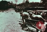Image of European immigrants on farms in Western United States United States USA, 1900, second 26 stock footage video 65675039775