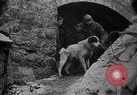 Image of French soldiers Europe, 1918, second 12 stock footage video 65675039782