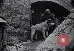 Image of French soldiers Europe, 1918, second 13 stock footage video 65675039782