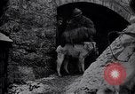 Image of French soldiers Europe, 1918, second 15 stock footage video 65675039782