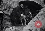 Image of French soldiers Europe, 1918, second 33 stock footage video 65675039782