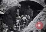 Image of French soldiers Europe, 1918, second 37 stock footage video 65675039782