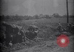 Image of WWI French and American troops dig trenches Marne France, 1918, second 53 stock footage video 65675039783