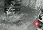 Image of United States Lines flagship SS Leviathan Atlantic Ocean, 1928, second 37 stock footage video 65675039799