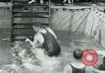 Image of United States Lines flagship SS Leviathan Atlantic Ocean, 1928, second 40 stock footage video 65675039799