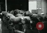 Image of Major General Terry Allen New York United States USA, 1945, second 9 stock footage video 65675039804