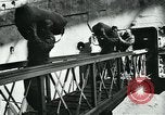 Image of United States 104th Infantry Division New York United States USA, 1945, second 51 stock footage video 65675039806