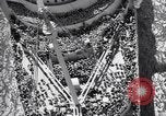 Image of Troopship returning from World War 2 New York City USA, 1945, second 55 stock footage video 65675039816