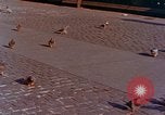 Immagine di La città di New York nel 1958 New York City USA, 1958, secondo 62 filmato di repertorio 65675039830