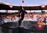 Immagine di Anni ottanta scene in Hollywood Santa Monica San Francisco e Las Vegas United States USA, 1986, secondo 24 filmato di repertorio 65675039831